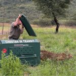 Cheetah Rescue and Rehabilitation