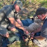 Hands-on conservation with the Foundation